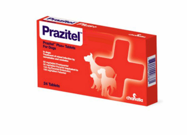 Prazitel