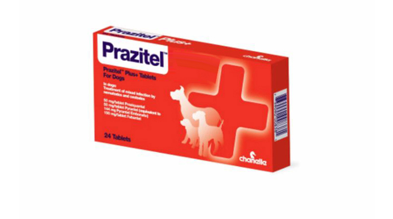 Prazitel