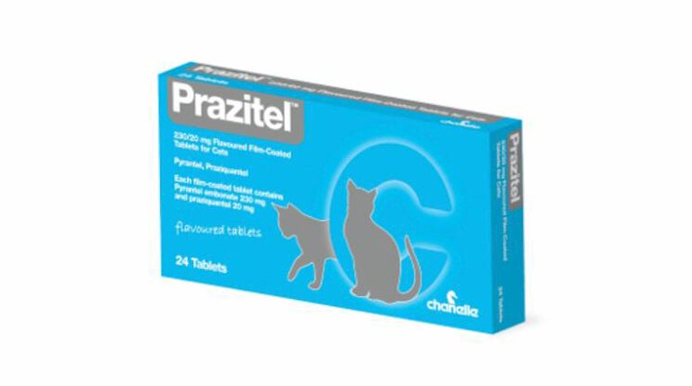 Prazitel cat